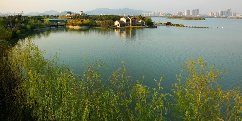 7环湖生态林地.jpg