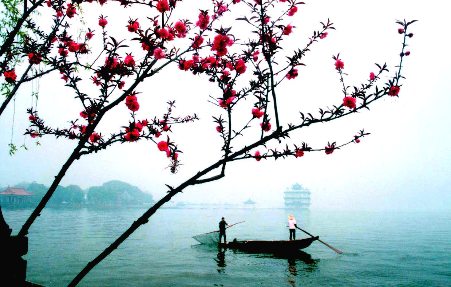 3128江南细雨.jpg